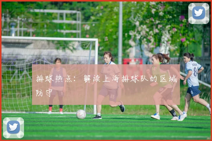 排球热点：解读上海排球队的区域防守