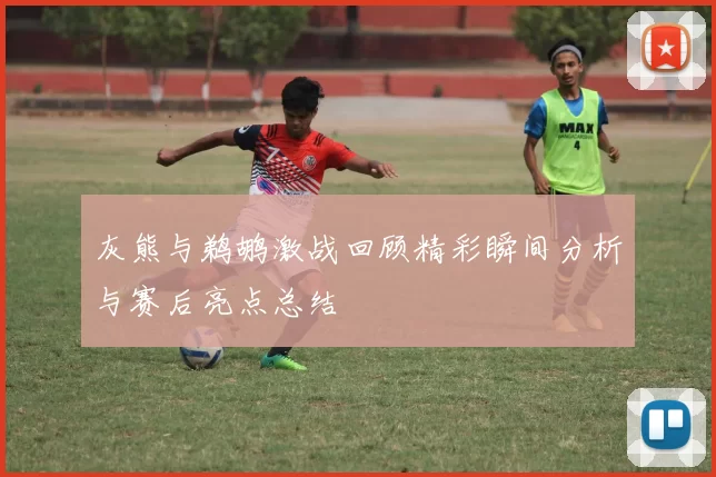 灰熊与鹈鹕激战回顾精彩瞬间分析与赛后亮点总结