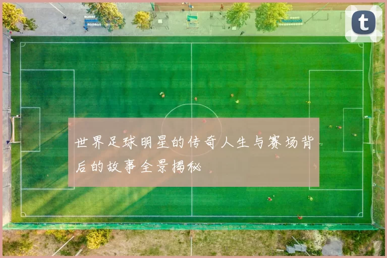 世界足球明星的传奇人生与赛场背后的故事全景揭秘