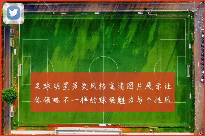 足球明星另类风格高清图片展示让你领略不一样的球场魅力与个性风采