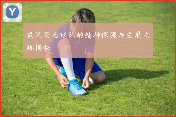武汉羽毛球队的精神探源与发展之路揭秘