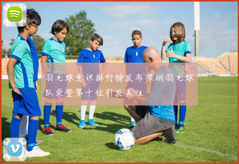 羽毛球意识排行榜发布深圳羽毛球队荣登第十位引发关注