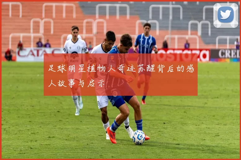 足球明星植物人奇迹苏醒背后的感人故事与启示