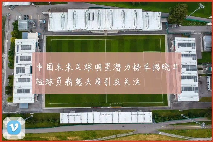 中国未来足球明星潜力榜单揭晓年轻球员崭露头角引发关注