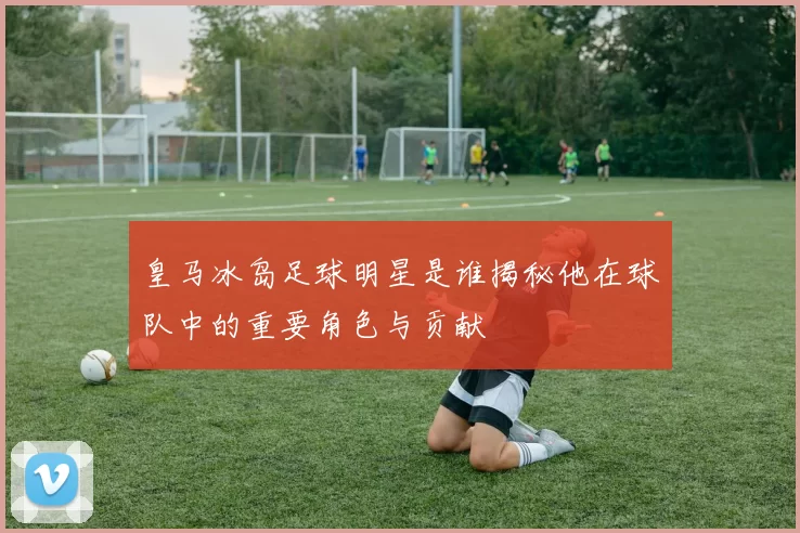 皇马冰岛足球明星是谁揭秘他在球队中的重要角色与贡献