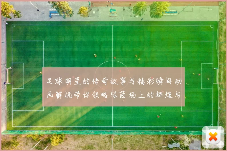 足球明星的传奇故事与精彩瞬间动画解说带你领略绿茵场上的辉煌与激情