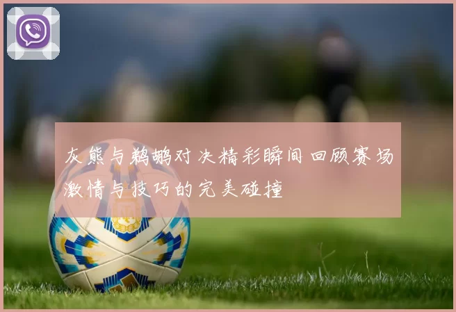 灰熊与鹈鹕对决精彩瞬间回顾赛场激情与技巧的完美碰撞