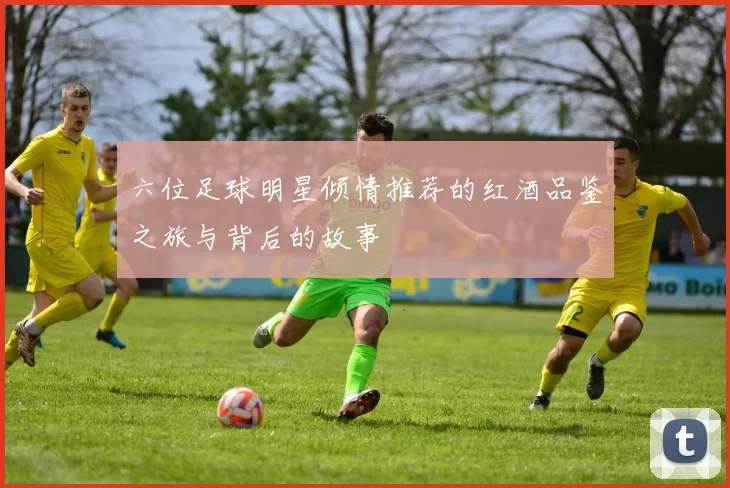 六位足球明星倾情推荐的红酒品鉴之旅与背后的故事