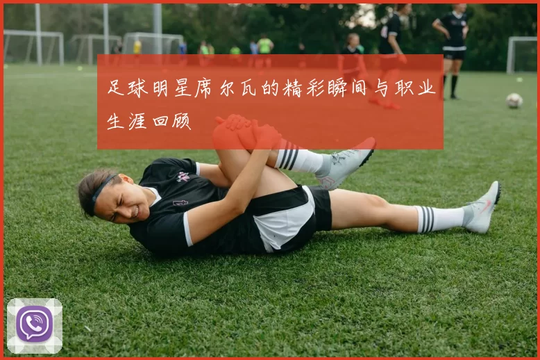 足球明星席尔瓦的精彩瞬间与职业生涯回顾