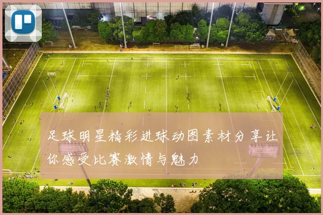 足球明星精彩进球动图素材分享让你感受比赛激情与魅力