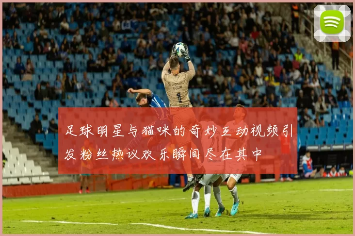 足球明星与猫咪的奇妙互动视频引发粉丝热议欢乐瞬间尽在其中