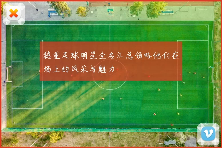 稳重足球明星全名汇总领略他们在场上的风采与魅力