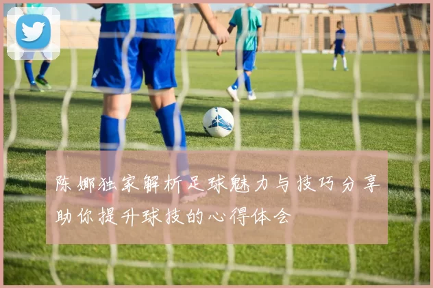 陈娜独家解析足球魅力与技巧分享助你提升球技的心得体会