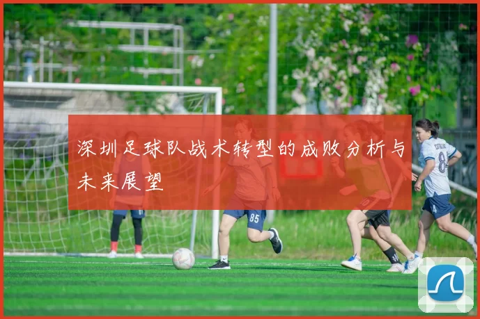 深圳足球队战术转型的成败分析与未来展望